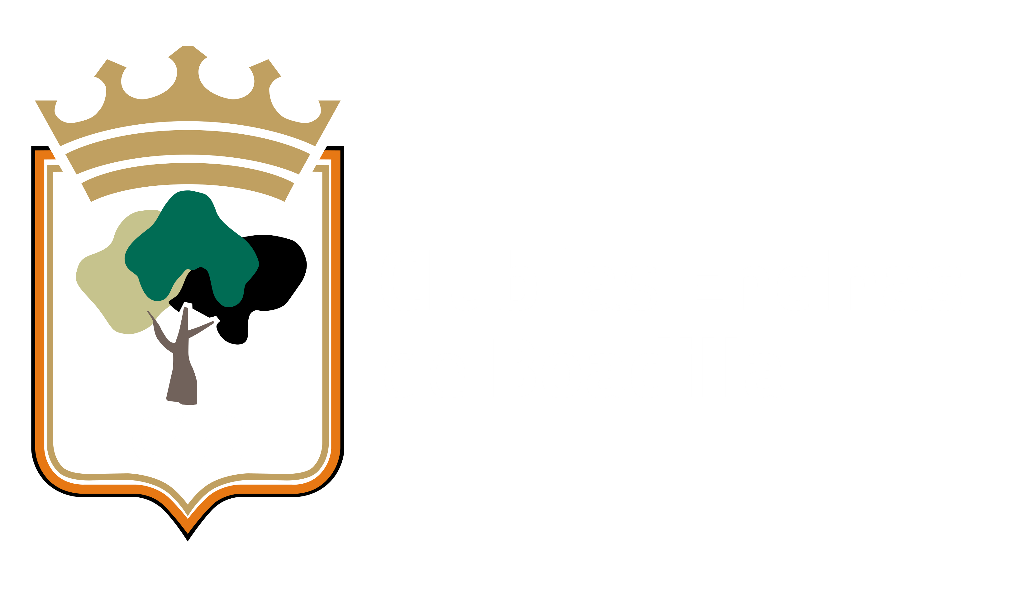 BLINDAJE